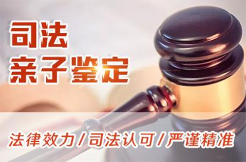 铁岭司法DNA鉴定怎么做,铁岭司法DNA鉴定流程